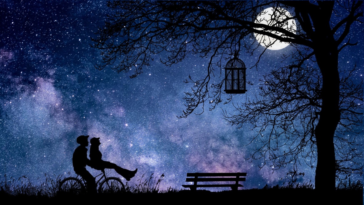 Couple looking up at the moon
