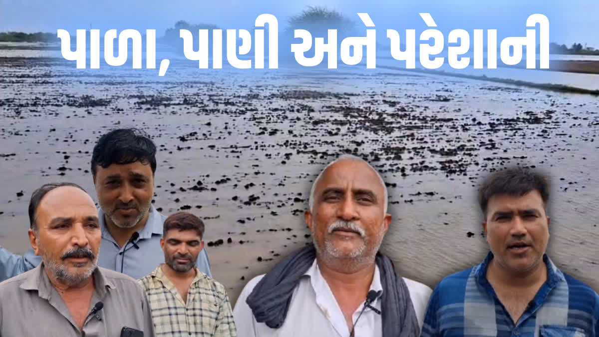 પાળા બન્યા આ બે ગામ વચ્ચે વિવાદનું કેન્દ્ર