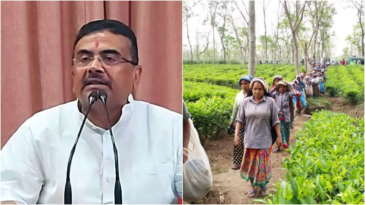 cm west bengal