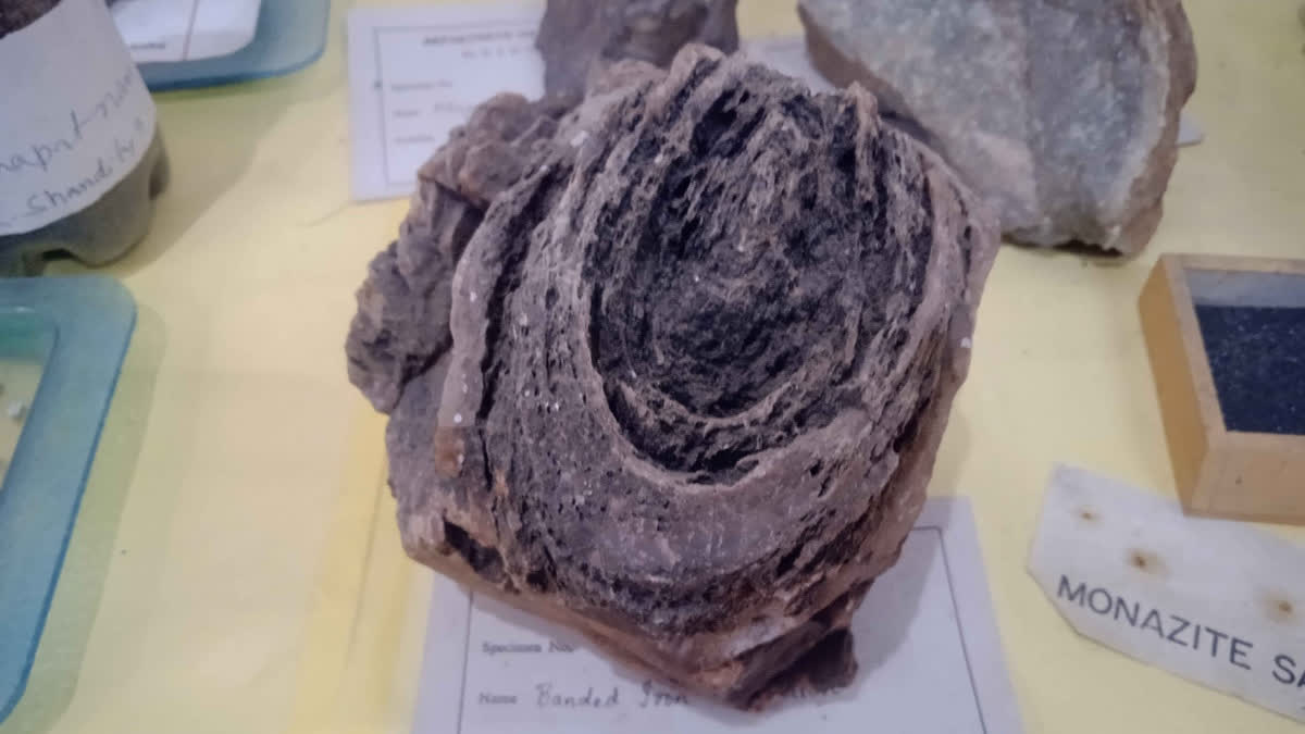 Fossil