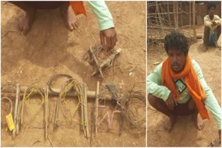 Illegal hunting of chital