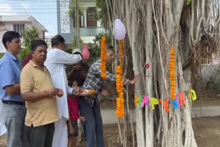 PEEPAL TREE BIRTHDAY