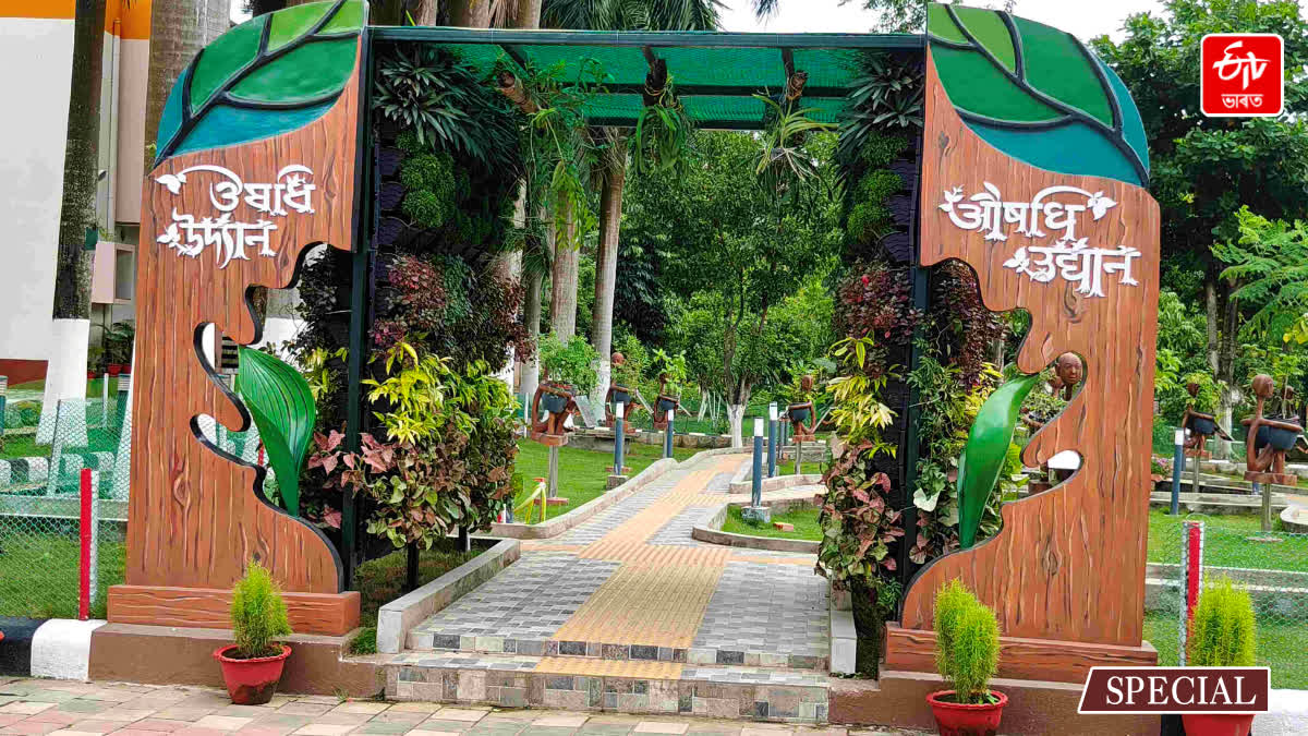 GUWAHATI TRADITIONAL MEDICINAL PLANT GARDEN