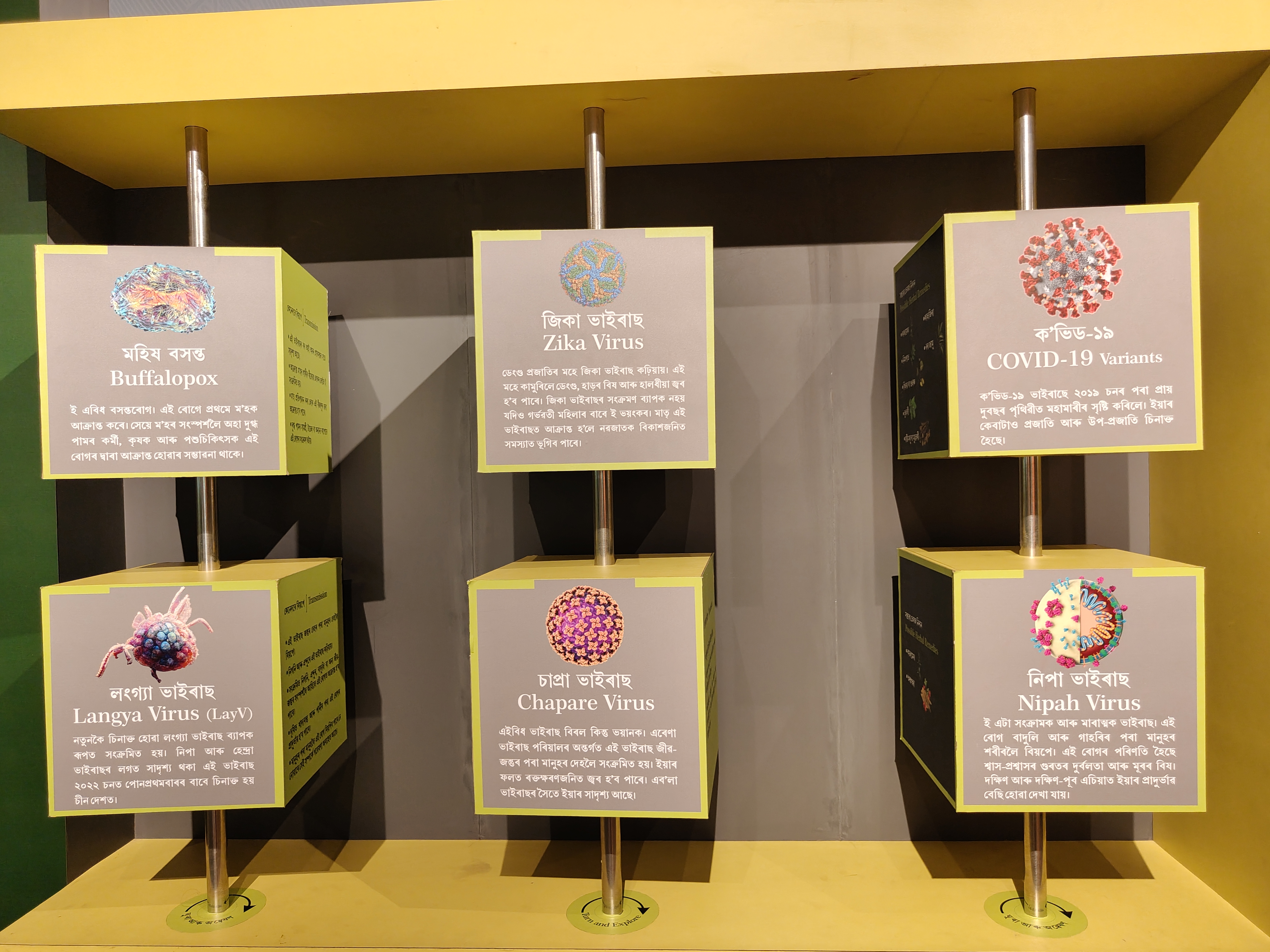 GUWAHATI TRADITIONAL MEDICINAL PLANT GARDEN