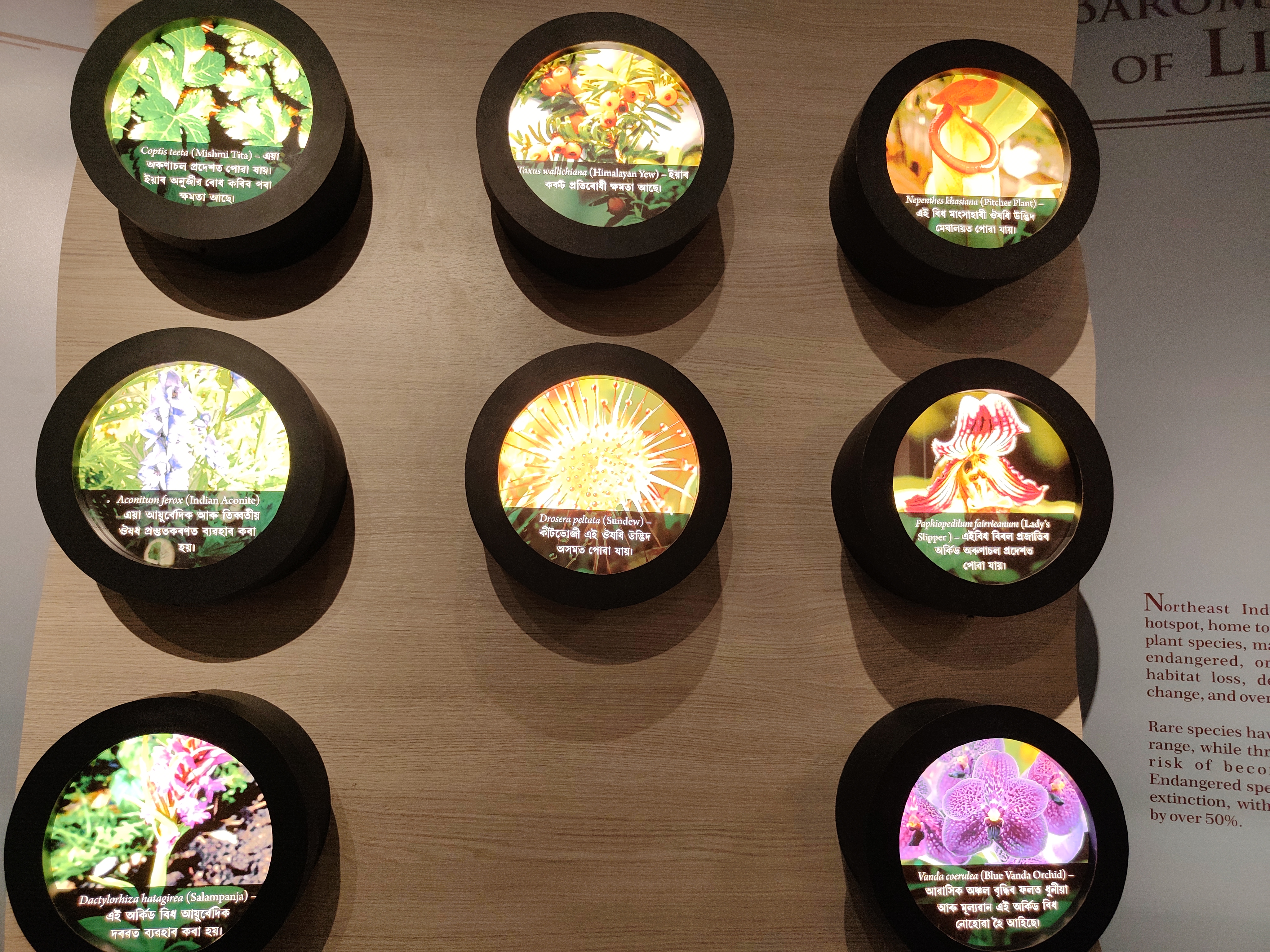 GUWAHATI TRADITIONAL MEDICINAL PLANT GARDEN