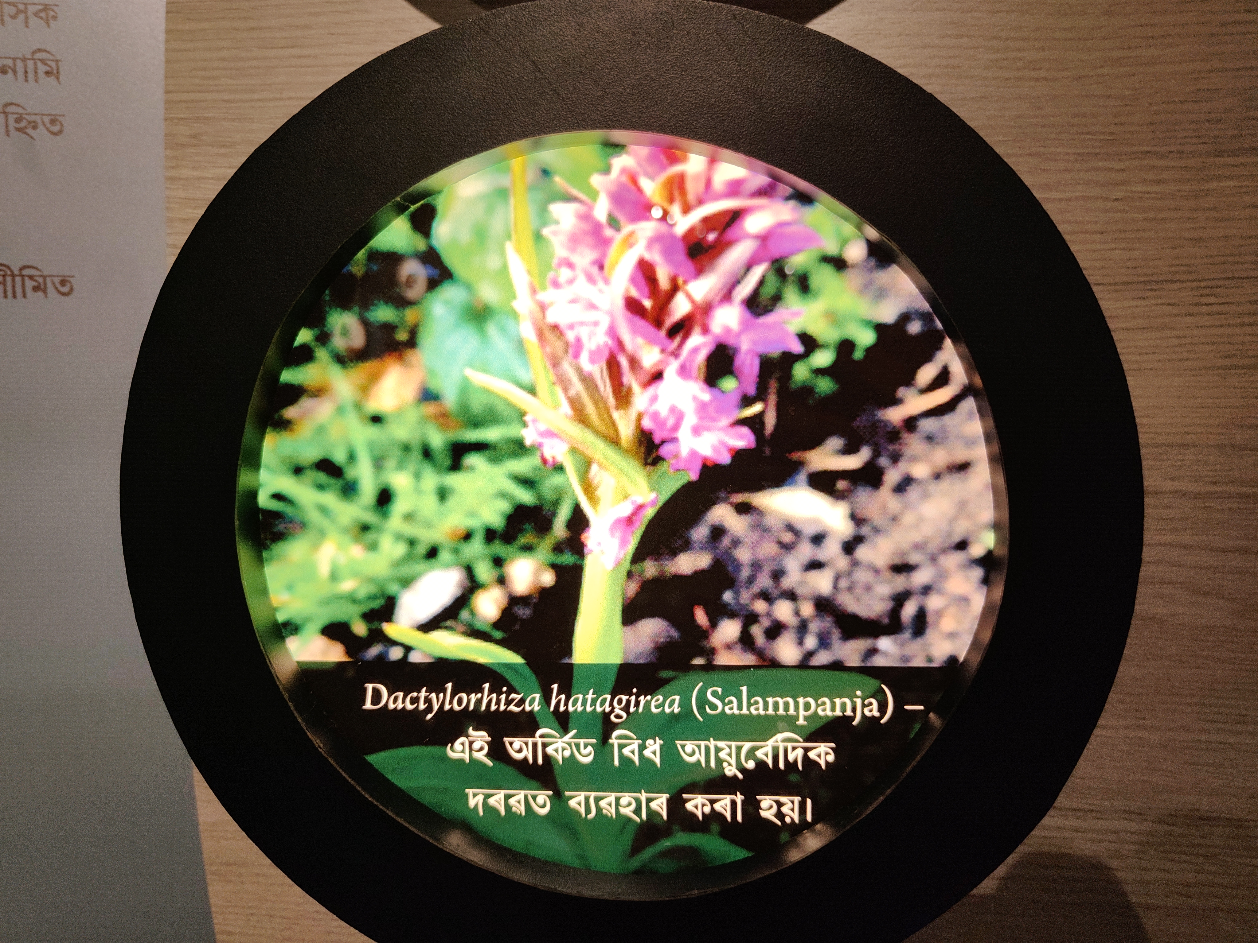 GUWAHATI TRADITIONAL MEDICINAL PLANT GARDEN