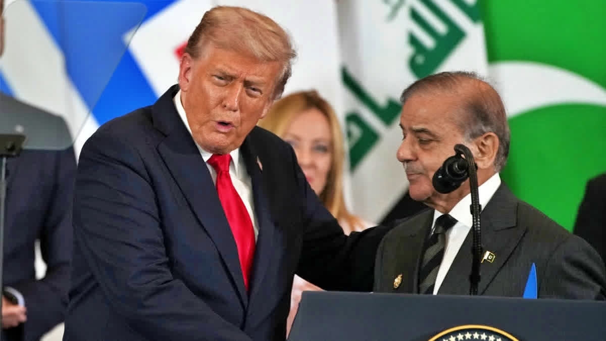US PAKISTAN CONFRONT TERROR  US PAK COUNTERTERRORISM DIALOGUE  US PAK RELATION  TERRORISM