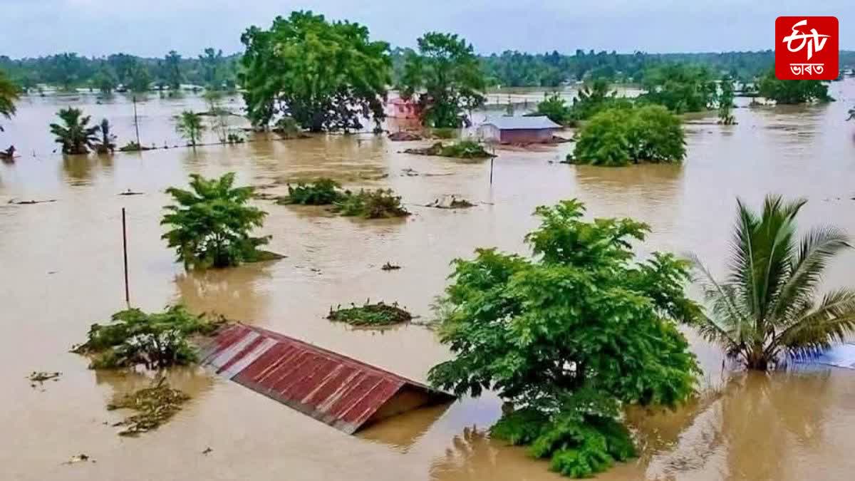 ASSAM FLOODS 2026