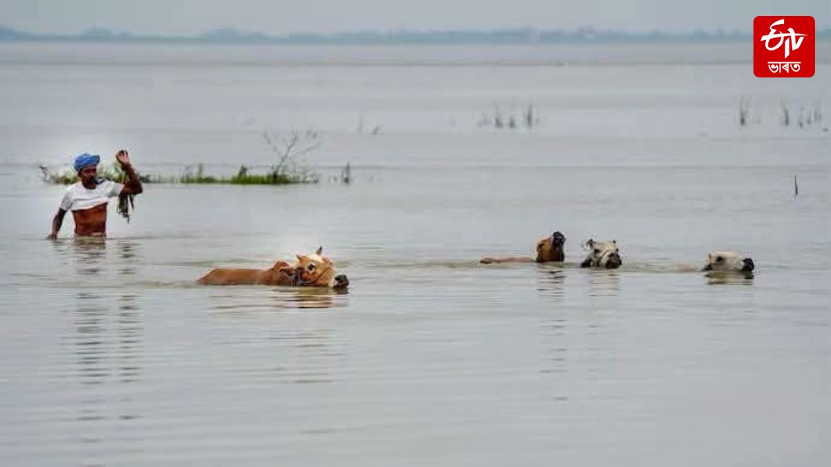 ASSAM FLOODS 2026