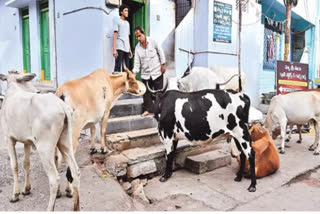 Andhra Pradesh