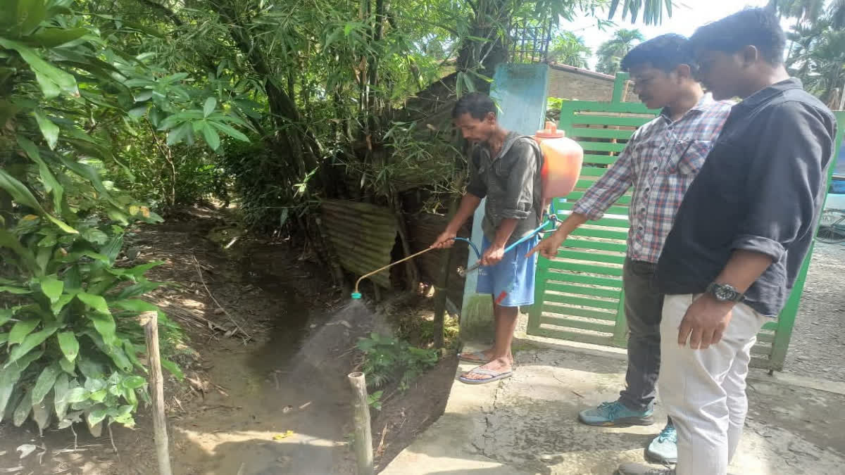 Borhat Tea Estate of Charaideo
