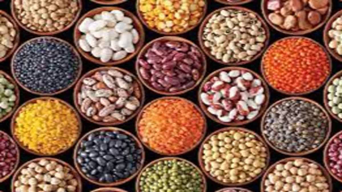 Strategies and pathways for accelerating growth in pulses