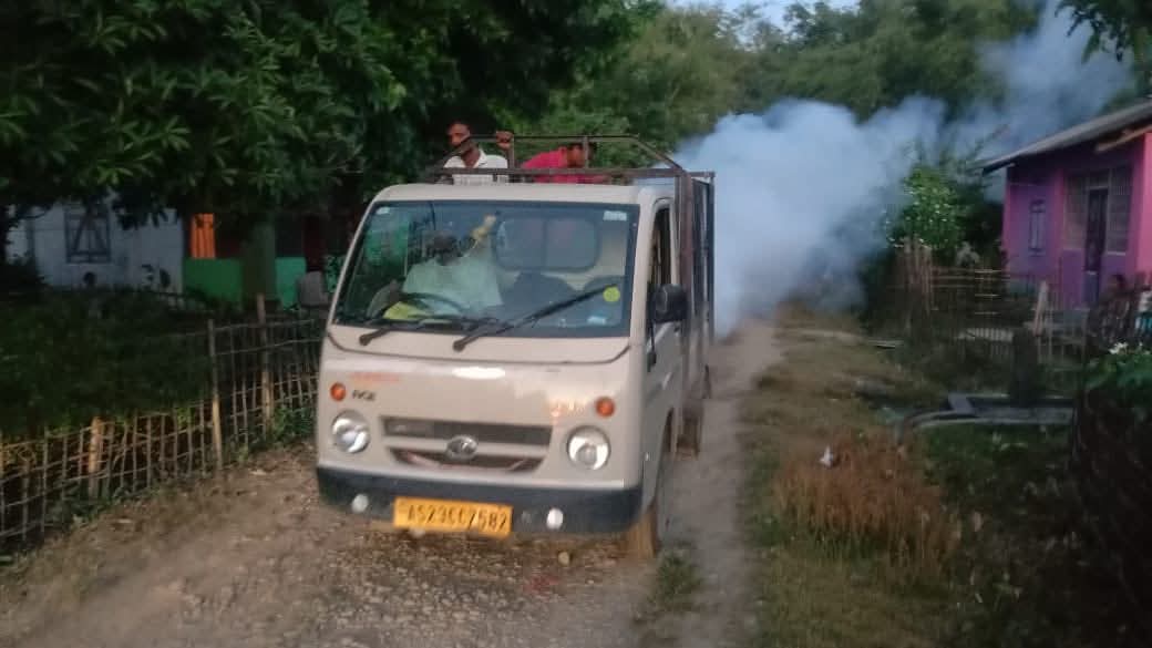 Borhat Tea Estate of Charaideo