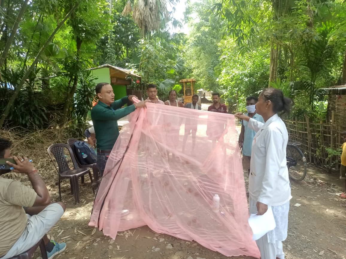 Borhat Tea Estate of Charaideo