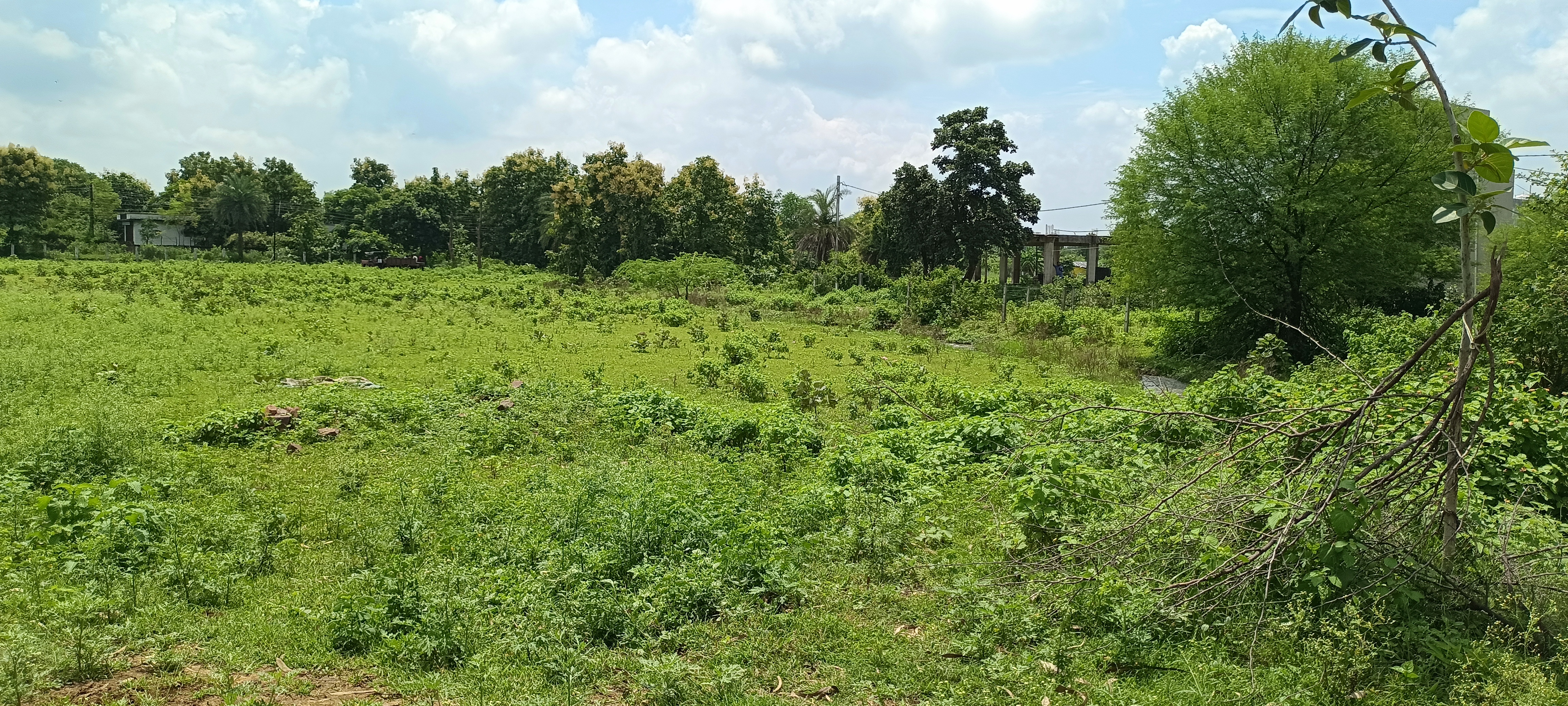 BHOPAL ANIMAL HUSBANDRY DEPARTMENT