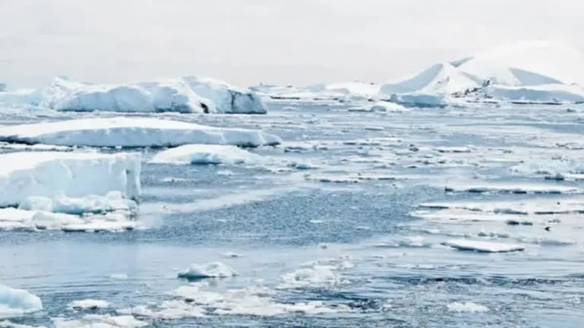 Antarctica Turning Green 'Dramatically', Trend Accelerated Over Years, Study Finds