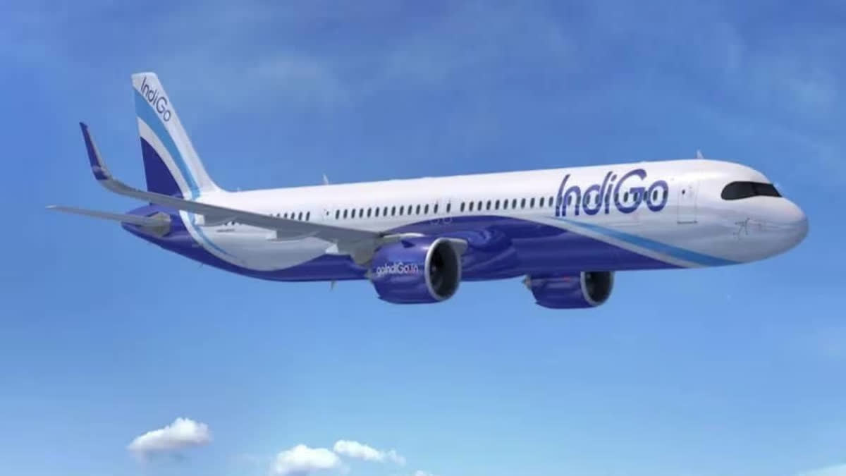IndiGo System Slowdown Causes 'Long Queues, Slow Check-Ins'; Services Restored, Claims Airline Representative Image