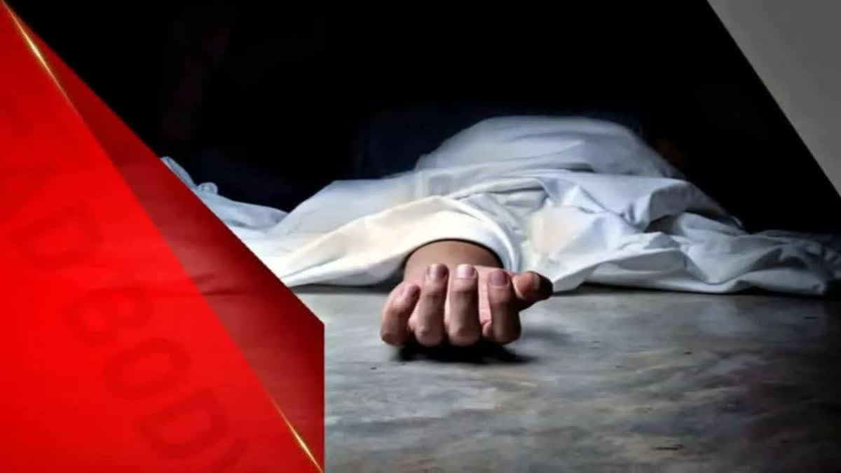 Soldier Shoots Self Dead In J-K's Poonch Representational image