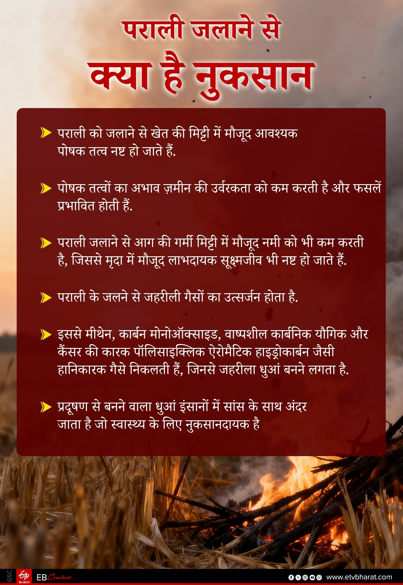 PARALI PROTECTION FORCE SHEOPUR