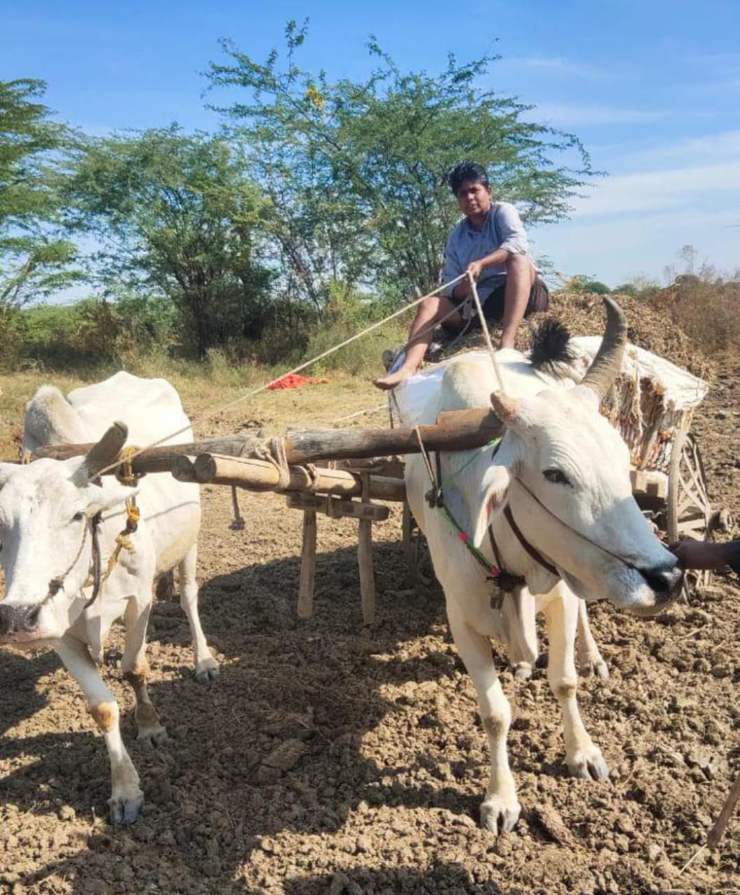 Nidhi Tripathi, a woman farmer who has transformed farming in the Bundelkhand region