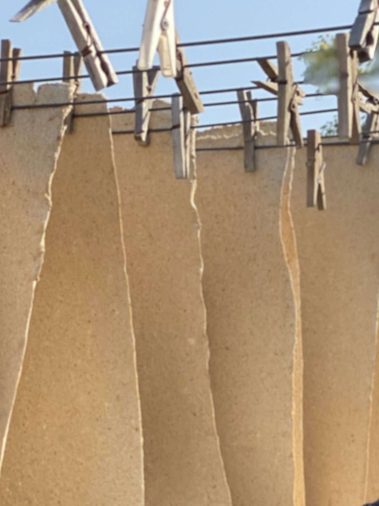 Parali Protection Force Sheopur