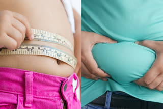 BELLY FAT  Visceral Fat  Subcutaneous Fat  ಒಳಾಂಗಗಳ ಕೊಬ್ಬು ಕಡಿಮೆ ಮಾಡುವುದು ಹೇಗೆ