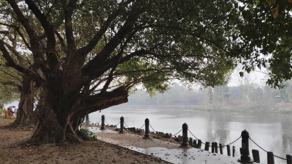 Night Illuminations At Rabindra Sarobar Endangering Lives Of Birds, Environmental Activists Wary