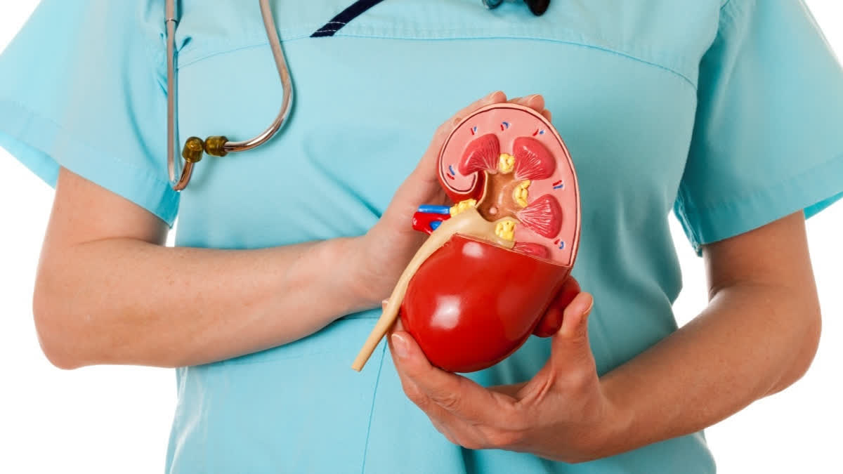 Early Detection Of Kidney Disease In Diabetics Possible, Finds IIT Bombay-Osmania Hospital Study