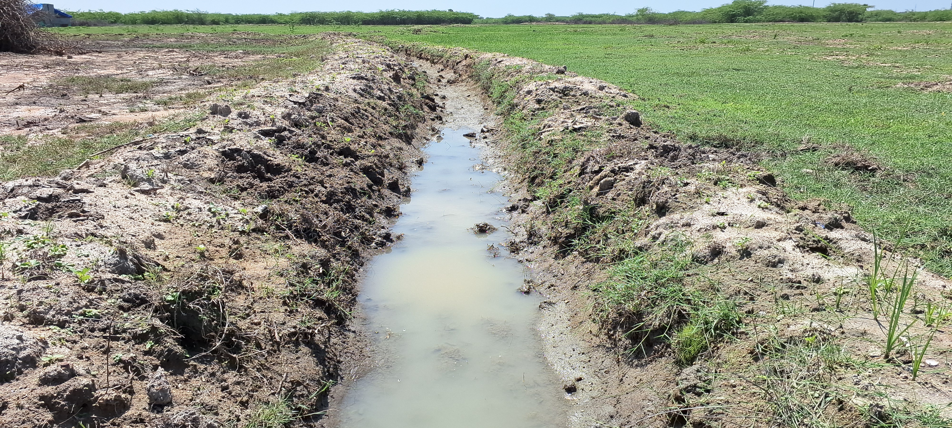 நாட்டாகுடி வயல் சீரமைப்பு பணிகள்