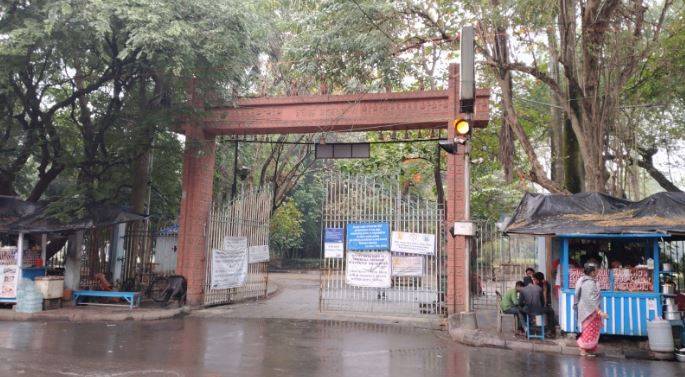 Night Illuminations At Rabindra Sarobar Endangering Lives Of Birds, Environmental Activists Wary