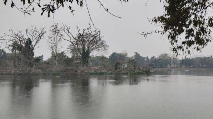 Night Illuminations At Rabindra Sarobar Endangering Lives Of Birds, Environmental Activists Wary