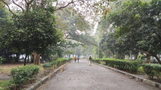 Night Illuminations At Rabindra Sarobar Endangering Lives Of Birds, Environmental Activists Wary