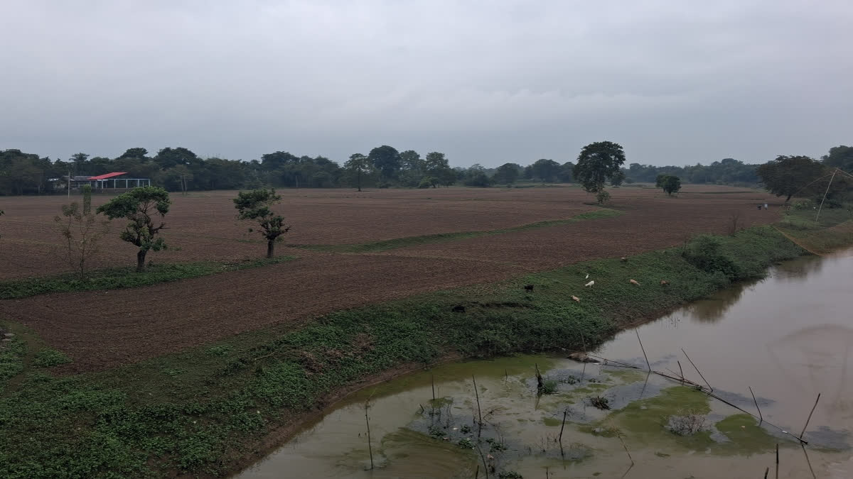 Jurgaon Village In Assam