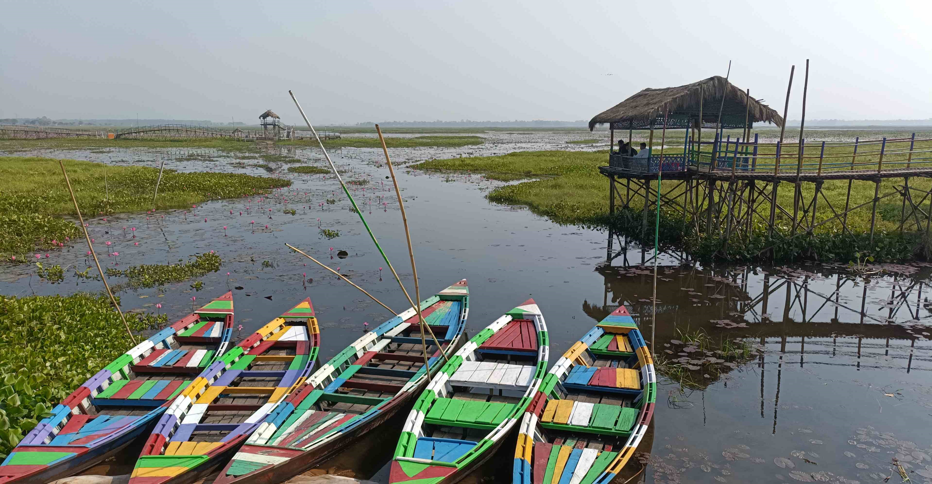 Pink paradise Urpad Beel in Goalpara