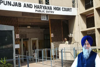 petition in High Court