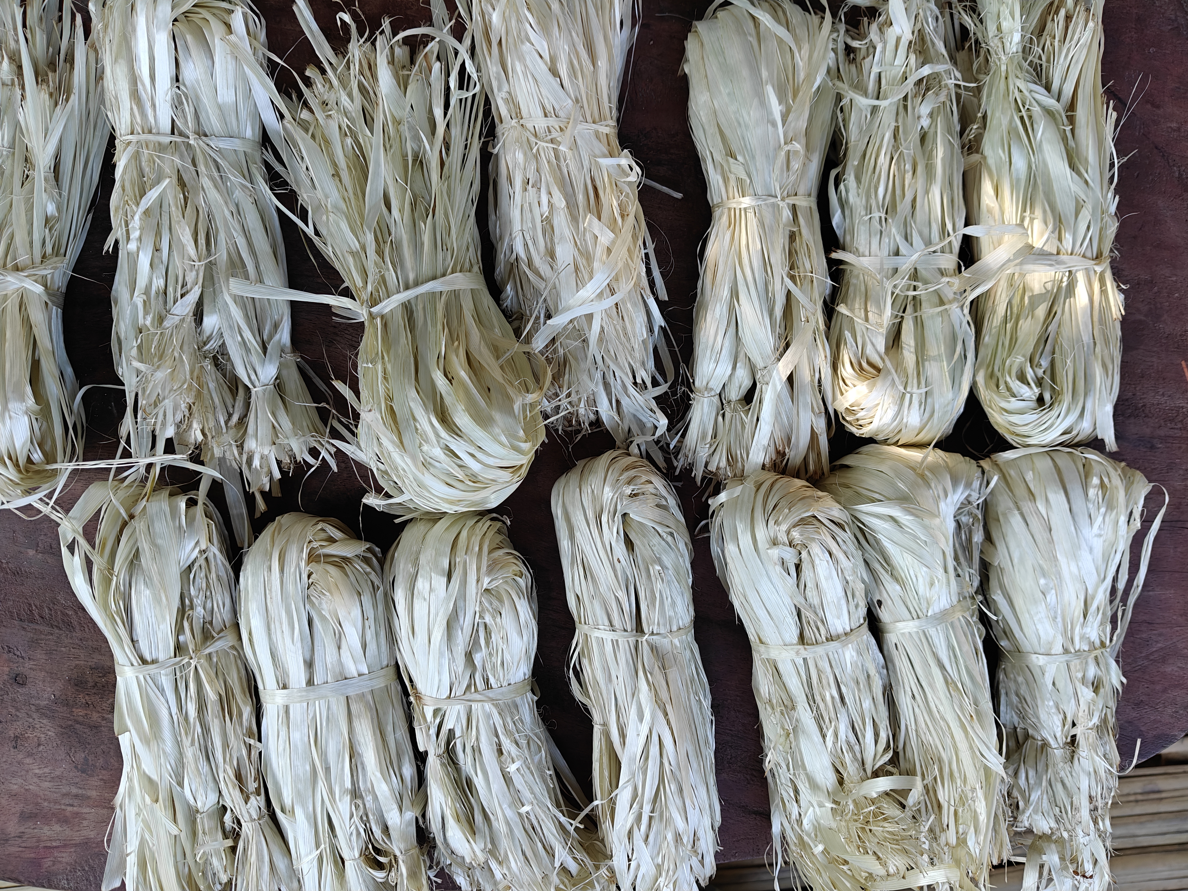 traditions of Tani people