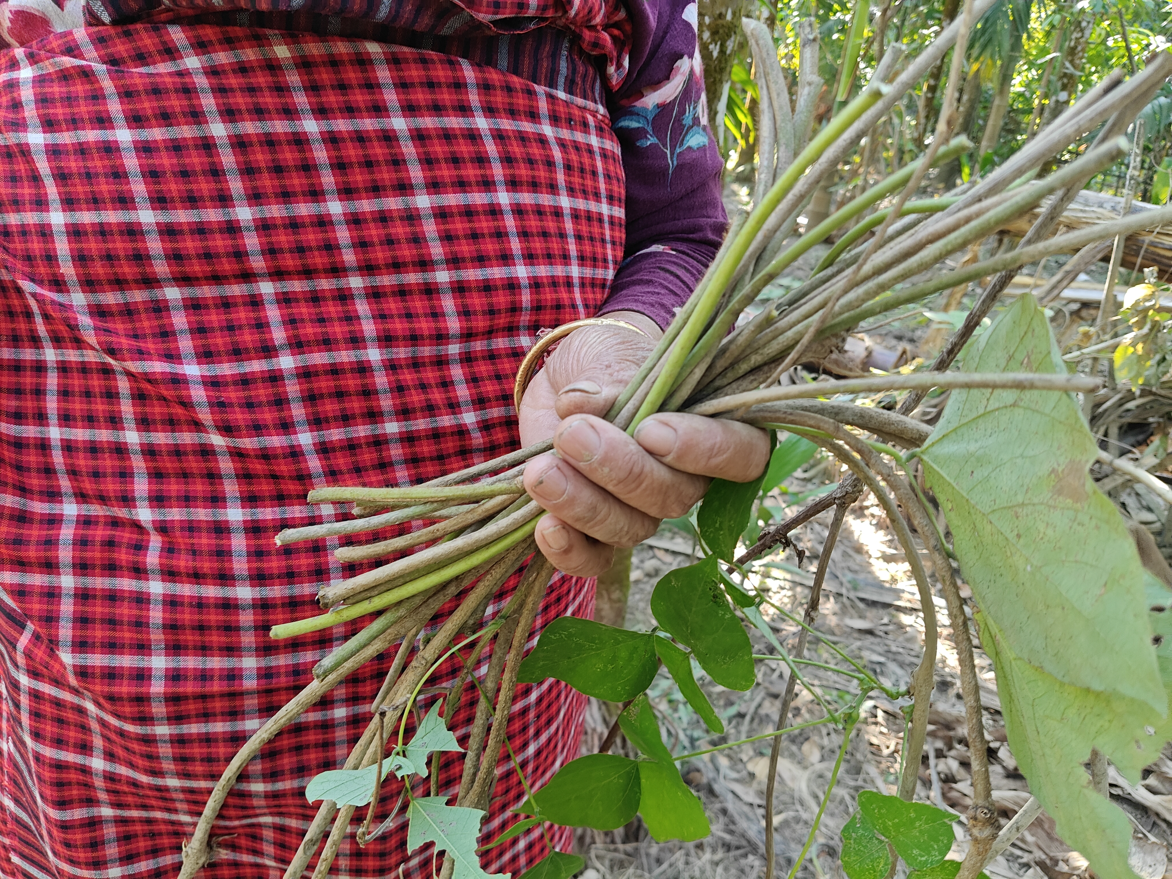 traditions of Tani people