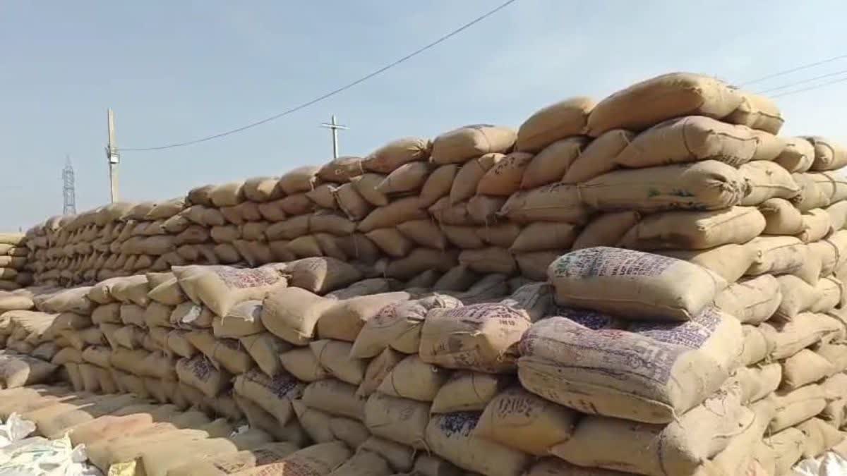 PADDY PROCUREMENT KAWARDHA