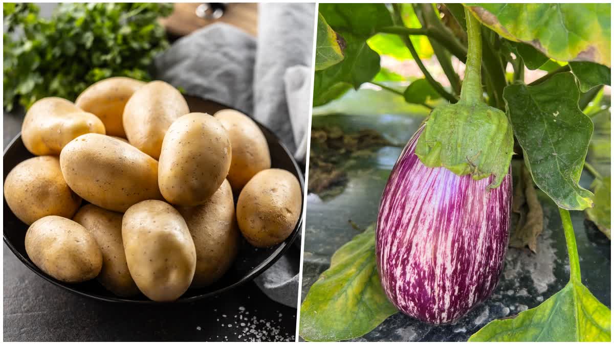 vankaya_bangaladumpa_curry