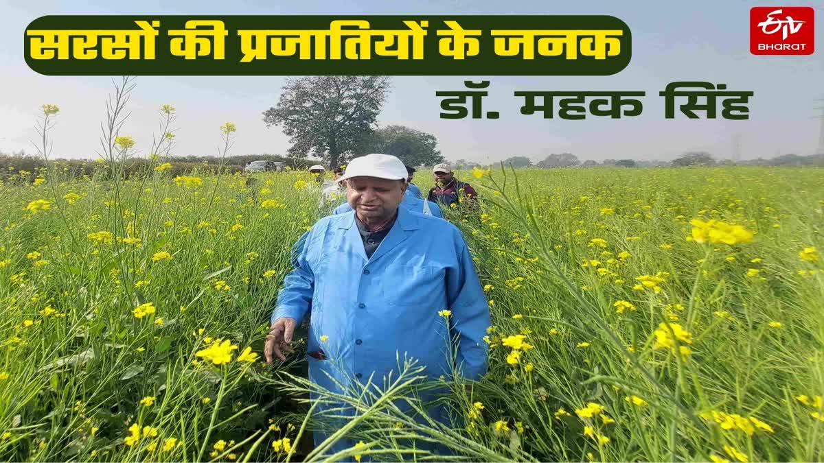 CSA यूनिवर्सिटी के कृषि वैज्ञानिक का कमाल.