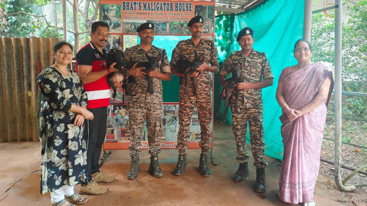 Raised Like Family, Belgian Malinois Puppies From A Karnataka Home Are Joining India’s Security Forces