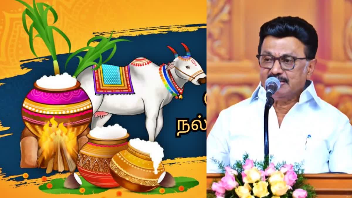 முதலமைச்சர் மு.க.ஸ்டாலின்