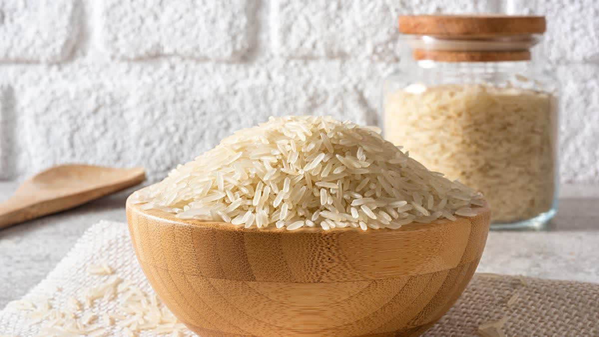 Rice Exporters Seek Budget Sops, Interest Subvention To Boost Competitiveness Indian Rice Exporter Federation