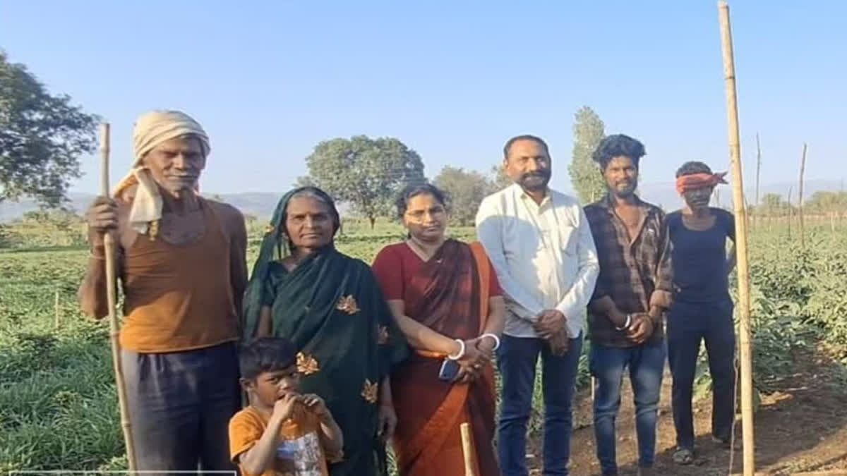 Two Hours After Class, This Professor Walks Into His Field And Harvests 60 Quintal Brinjals A Week