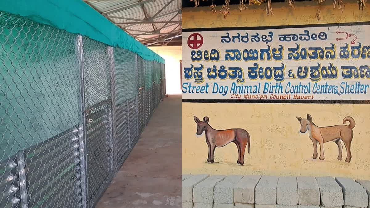 stray-dog-sterilization-surgery-center-closed-on-the-same-day-it-opened