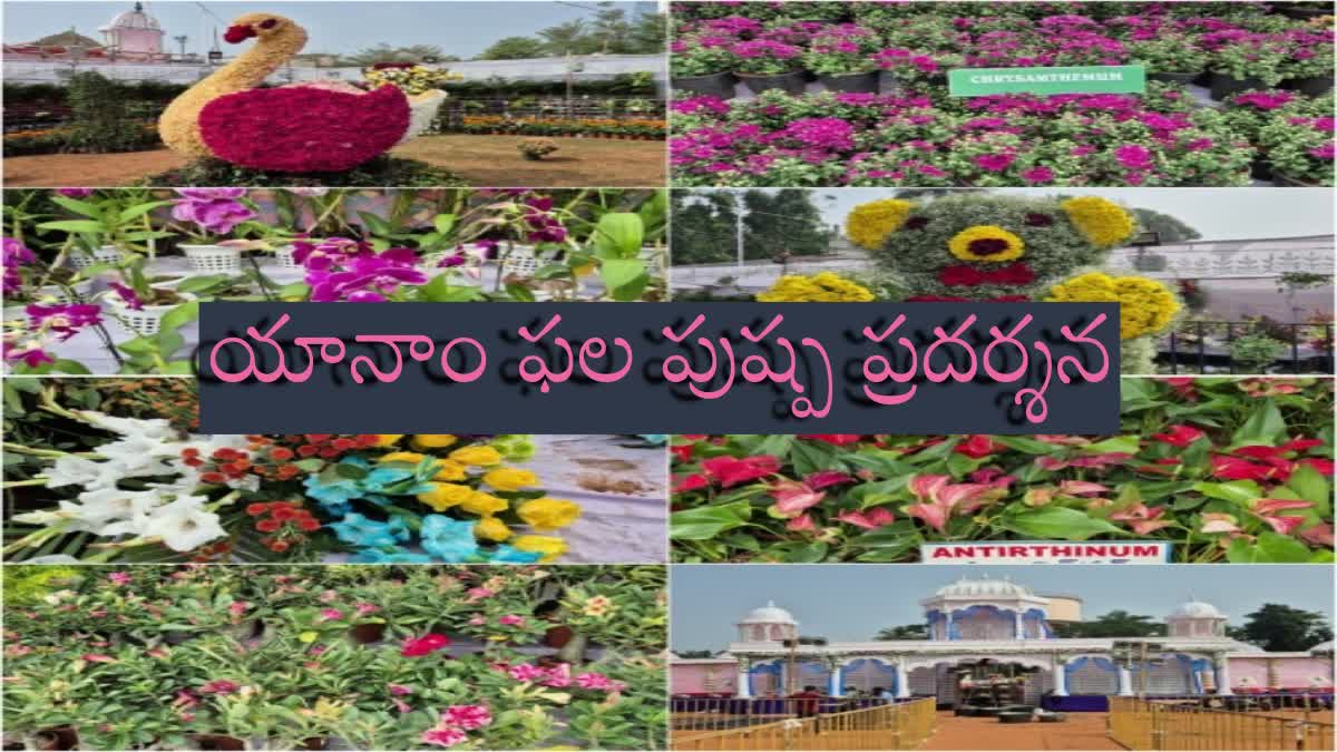 YANAM FLOWER SHOW