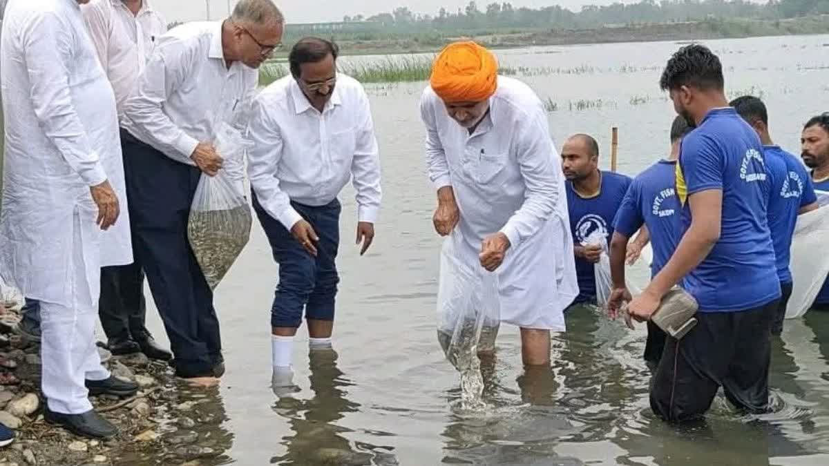 Haryana Pushes Fish Industry