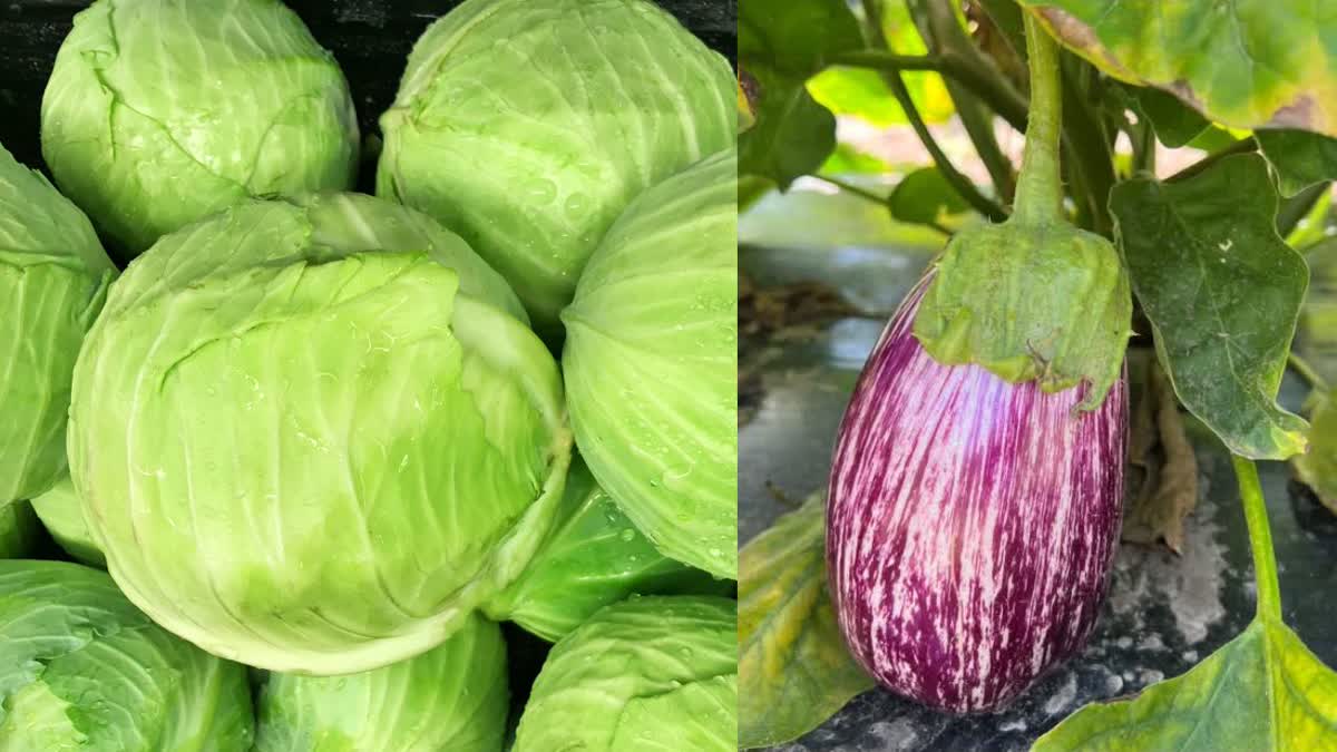 EATING RAW VEGETABLES DANGEROUS  HOW TO SAFELY EAT RAW VEGETABLES  EATING RAW VEGETABLES  IS IT BAD TO EAT RAW VEGETABLES