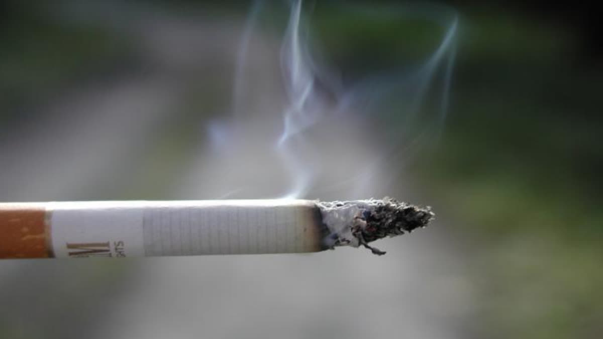 Tobacco Tax