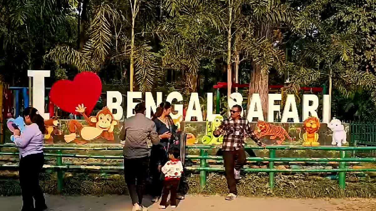 Critically Endangered Mandrill Successfully Bred At Bengal Safari Park